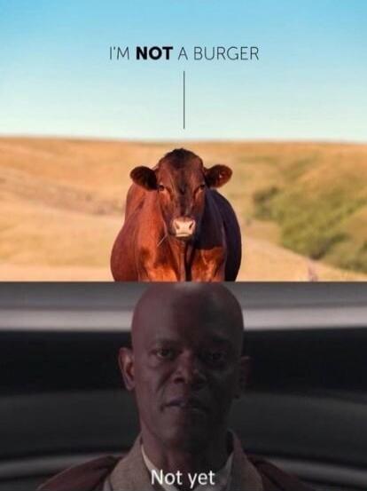 I'M NOT A BURGER Not yet