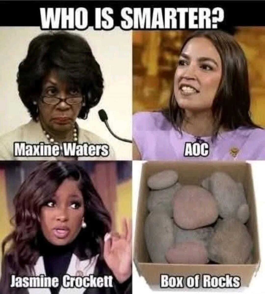WHO IS SMARTER?
Maxine Waters	AOC
Jasmine Crockett	Box of Rocks