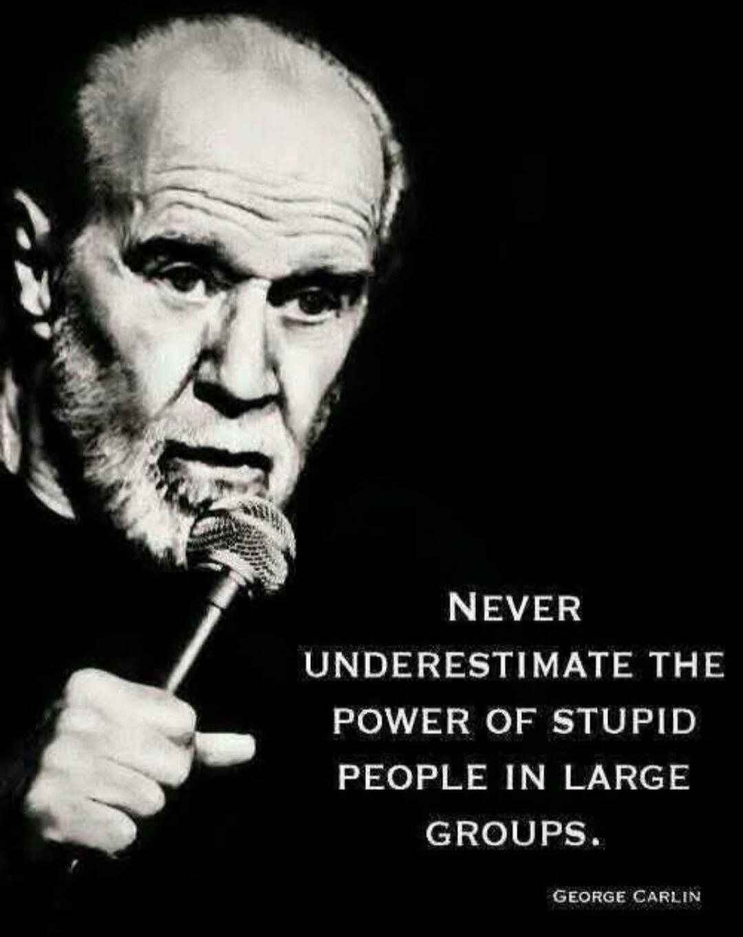Never underestimate the power of stupid people in large groups. — George Carlin