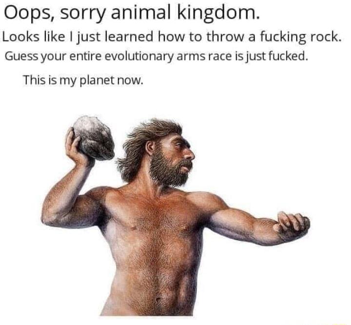 Oops sorry animal kingdom Looks like just learned how to throw a fucking rock Guess your entire evolutionary arms race is just fucked Thisis my planet now