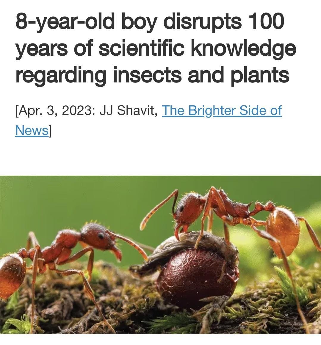 8 year old boy disrupts 100 years of scientific knowledge regarding insects and plants Apr 3 2023 JJ Shavit The Brighter Side of News