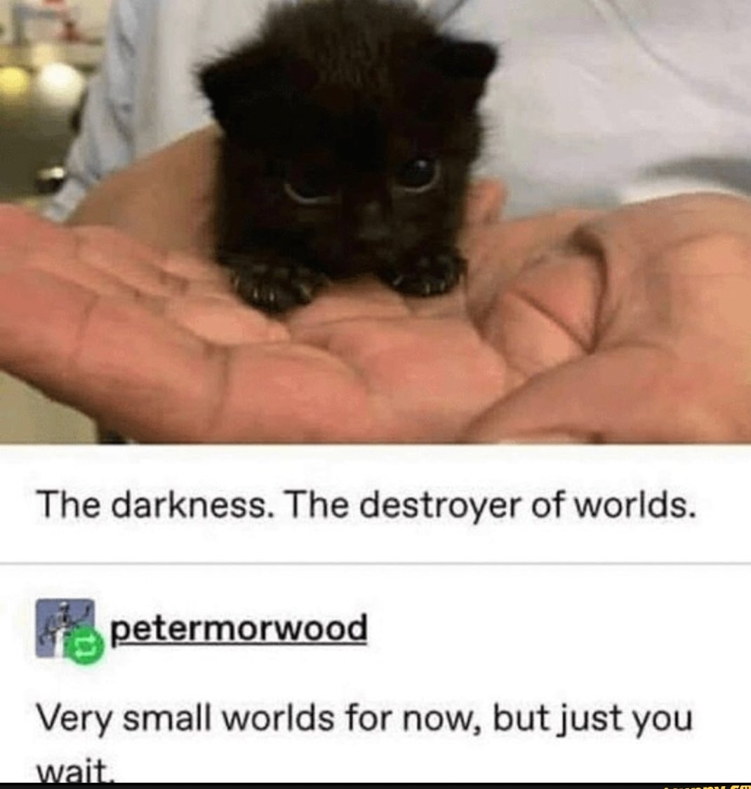 l The darkness The destroyer of worlds npetermorwood Very small worlds for now but just you Swait