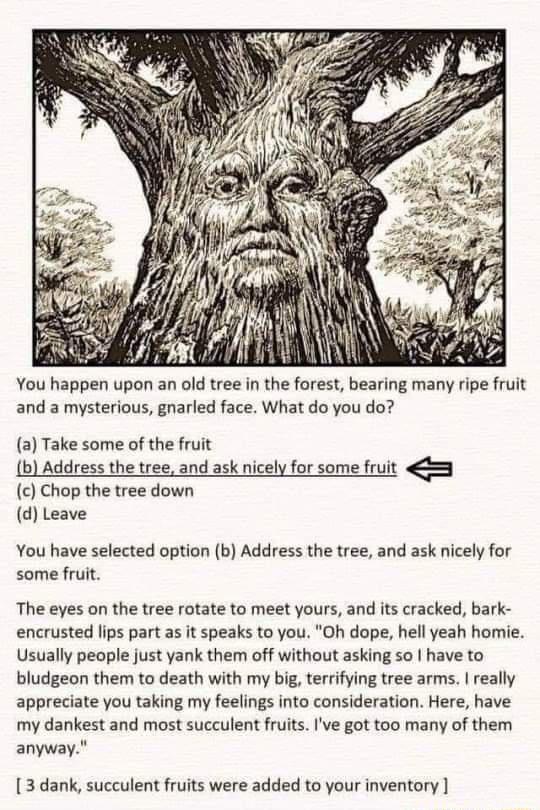 You happen upon an old tree in the forest bearing many ripe fruit and a mysterious gnarled face What do you do a Take some of the fruit b Address the tree and ask nicely for some fruit 33 c Chop the tree down d Leave You have selected option b Address the tree and ask nicely for some fruit The eyes on the tree rotate to meet yours and its cracked bark encrusted lips part as it speaks to you Oh dop