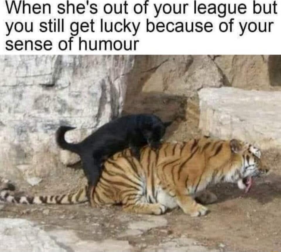 When she's out of your league but you still get lucky because of your sense of humour