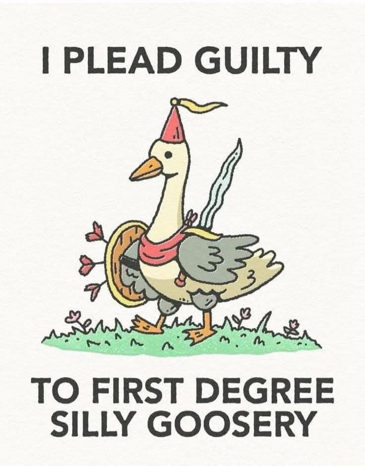 I PLEAD GUILTY TO FIRST DEGREE SILLY GOOSERY