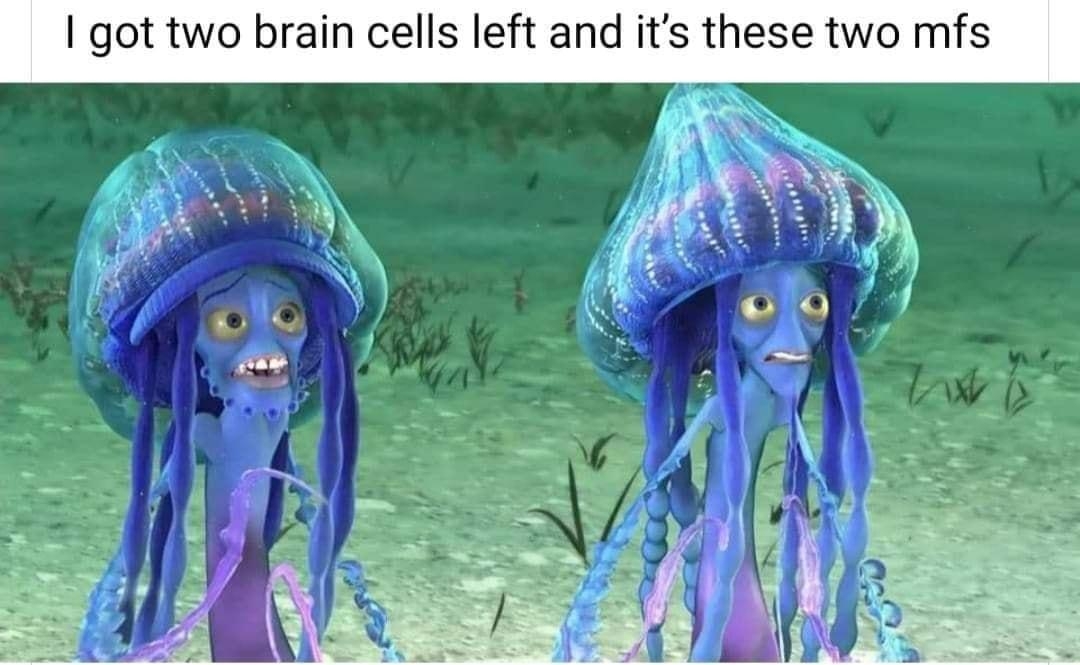 got two brain cells left and its these two mfs