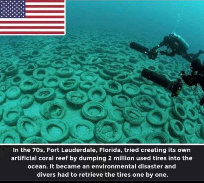 In the 70s Fort Lauderdale Florida tried creating its own artificial coral reef by dumping 2 million used tires into the CICED RIS EEL LWL EUTE I EE N E T T OO EL RGN LR G ER TR TR VLT TN