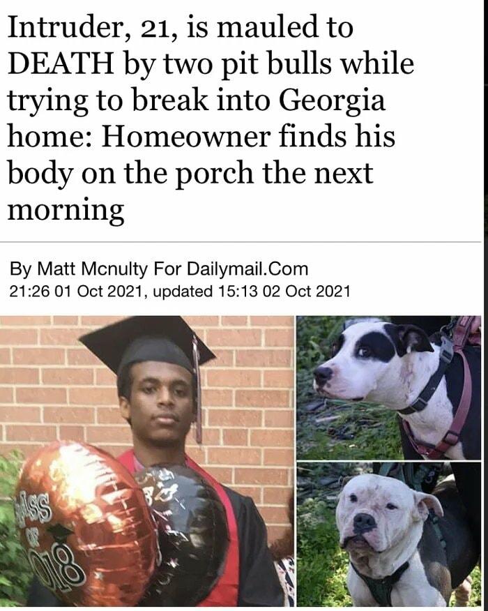 Intruder 21 is mauled to DEATH by two pit bulls while trying to break into Georgia home Homeowner finds his body on the porch the next morning By Matt Mcnulty For DailymailCom 2126 01 Oct 2021 updated 1513 02 Oct 2021