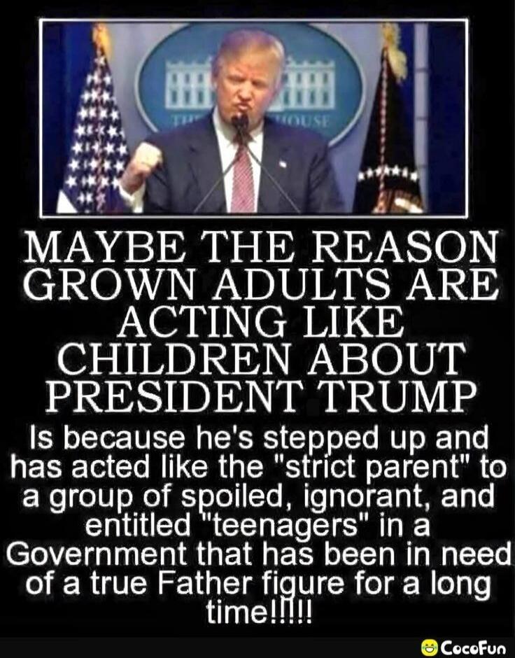 MAYBE THE REASON GROWN ADULTS ARE ACTING LIKE CHILDREN ABOUT PRESIDENT TRUMP Is because he's stepped up and has acted like the 'strict parent' to a group of spoiled, ignorant, and entitled 