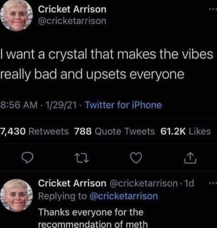 Cricket Arrison cricketarrison want a crystal that makes the vibes CE YA oETe ETale RVo ST SRV g Vol 856 AM 12921 Twitter for iPhone 7430 Retweets 788 Quote Tweets 612K Likes Q n v o Cricket Arrison cricketarrison 1d Replying to cricketarrison Thanks everyone for the recommendation of meth