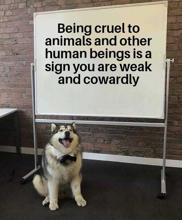 Being cruel to animals and other humanbeingsisa sign you are weak and cowardly