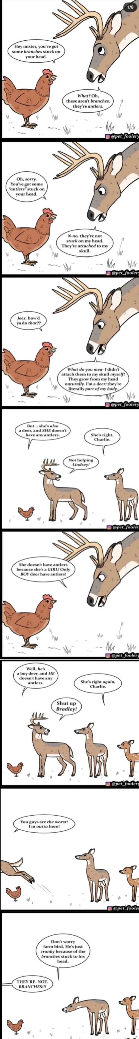 Tey mister youve got some branches stuck on your head What Oh these arent branches theyre antlers Oh sorry Youve got some antlers stuck on your head N no theyre not stuck on my head Theyre attached to my skull What do you mea didnt attach them to my skull mysels They grow from my head naturally Im a deer they re part of my body because shes a GIRL Only BOY deer have antlers Well hes aboy deer and 