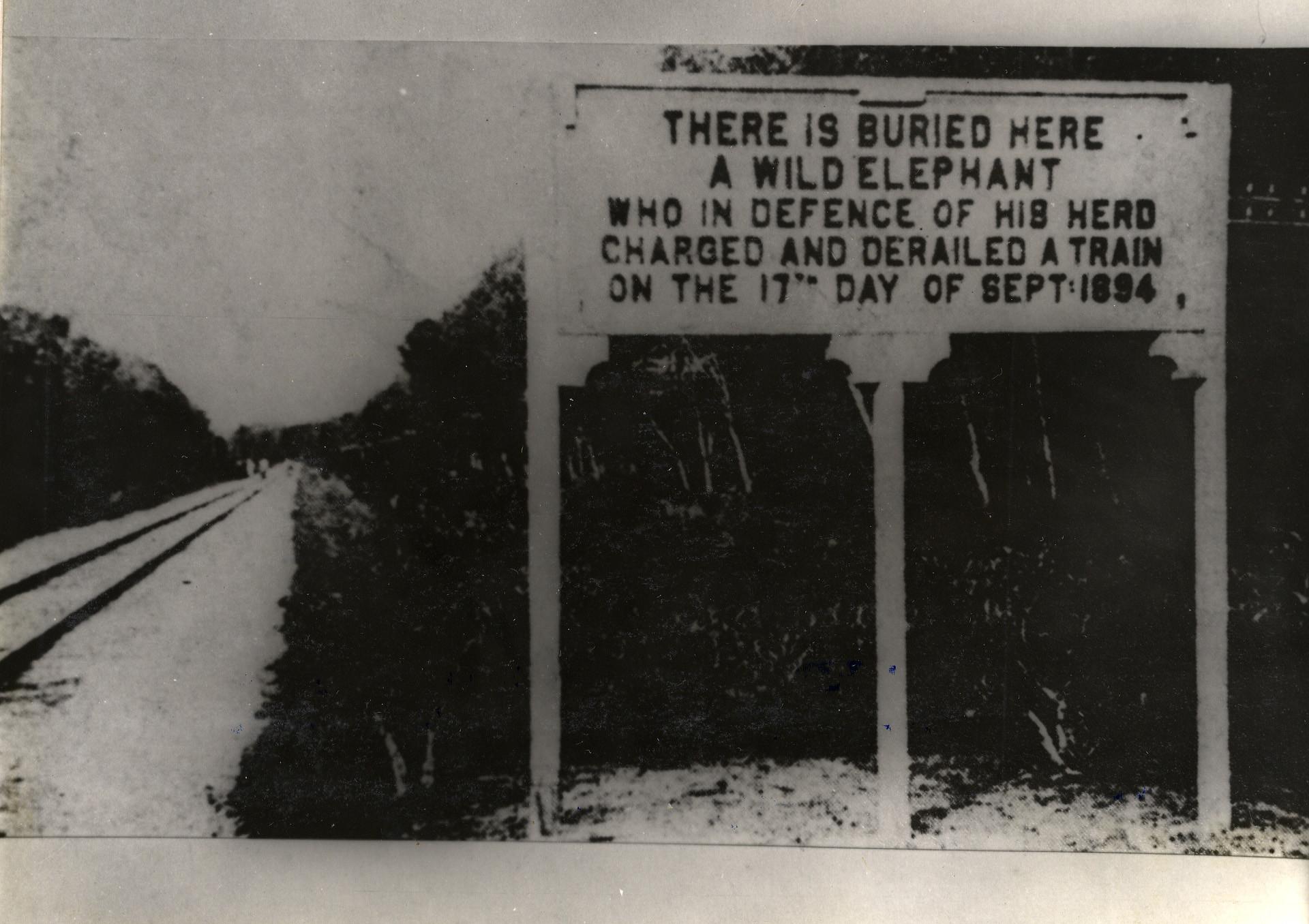 R THERE IS BURIED MERE A WILD ELEPHANT WHO IN DEFENCE OF HIB HERD CHARGED AND DERAILED A TRAIN ON THE 177 DAY OF SEPTI894