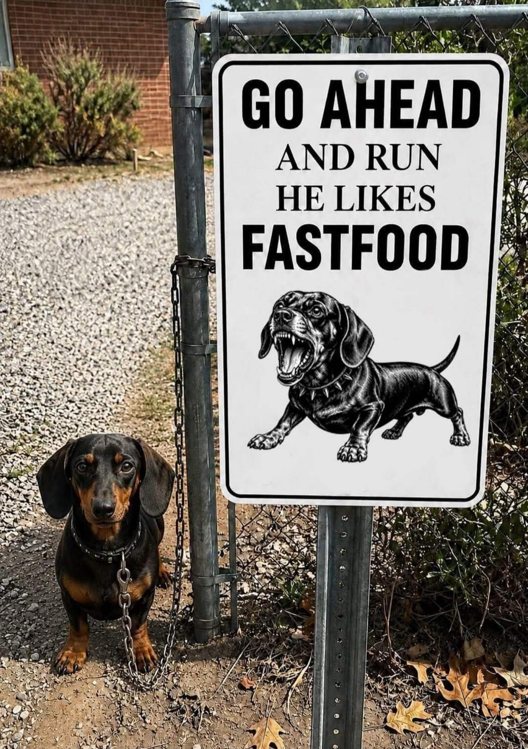 GO AHEAD AND RUN HE LIKES FASTFOOD