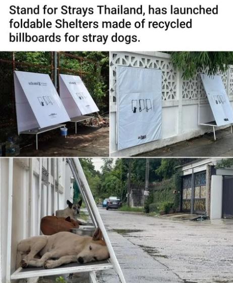 Stand for Strays Thailand has launched foldable Shelters made of recycled billboards for stray dogs