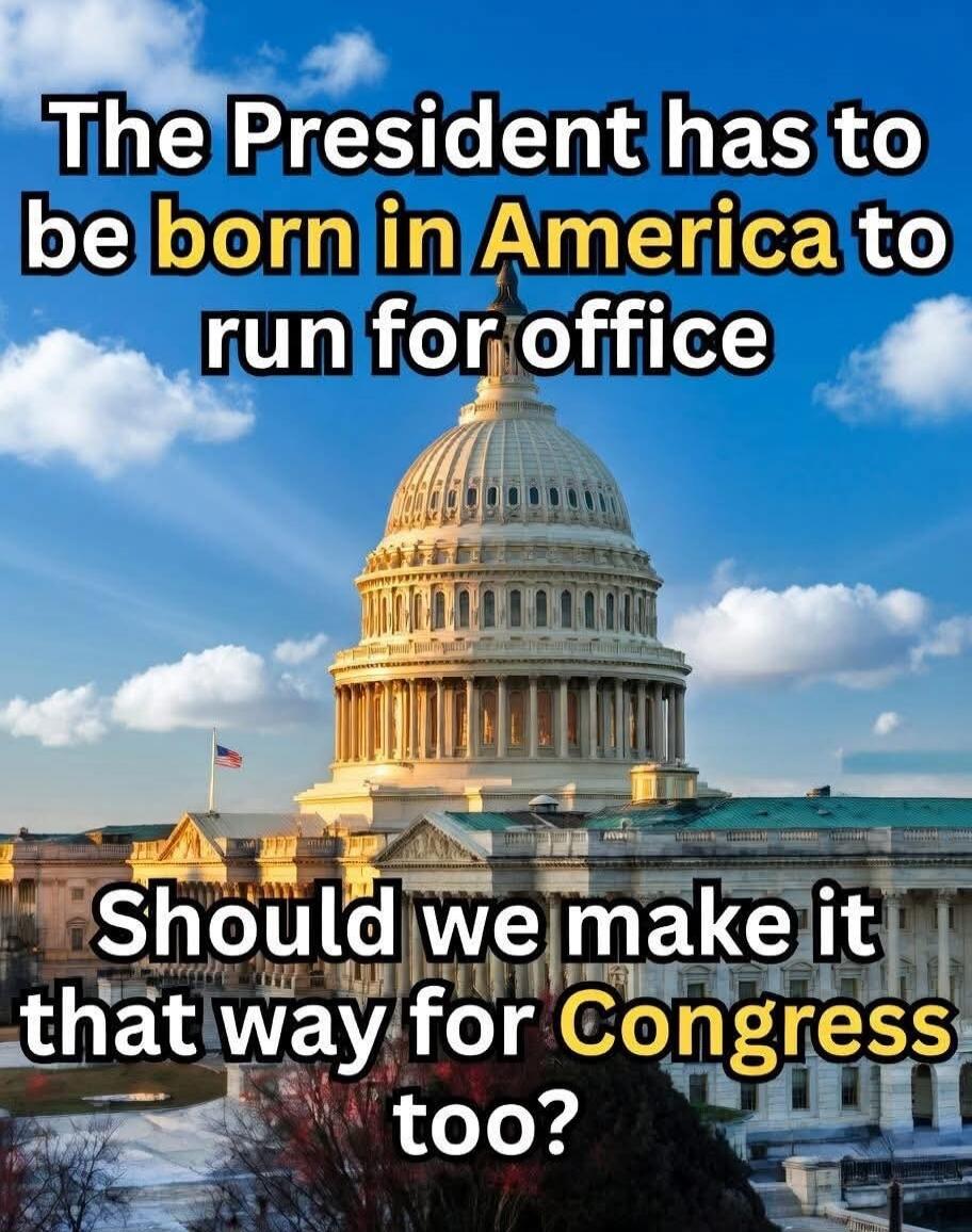 The President has to be born in America to run for office. Should we make it that way for Congress too?