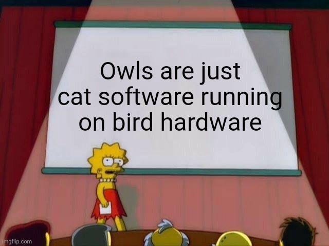 Owls are just cat software runnin on bird hardware