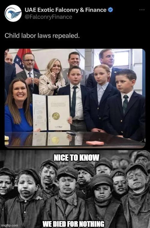 UAE Exotic Falconry Finance Child labor laws repealed