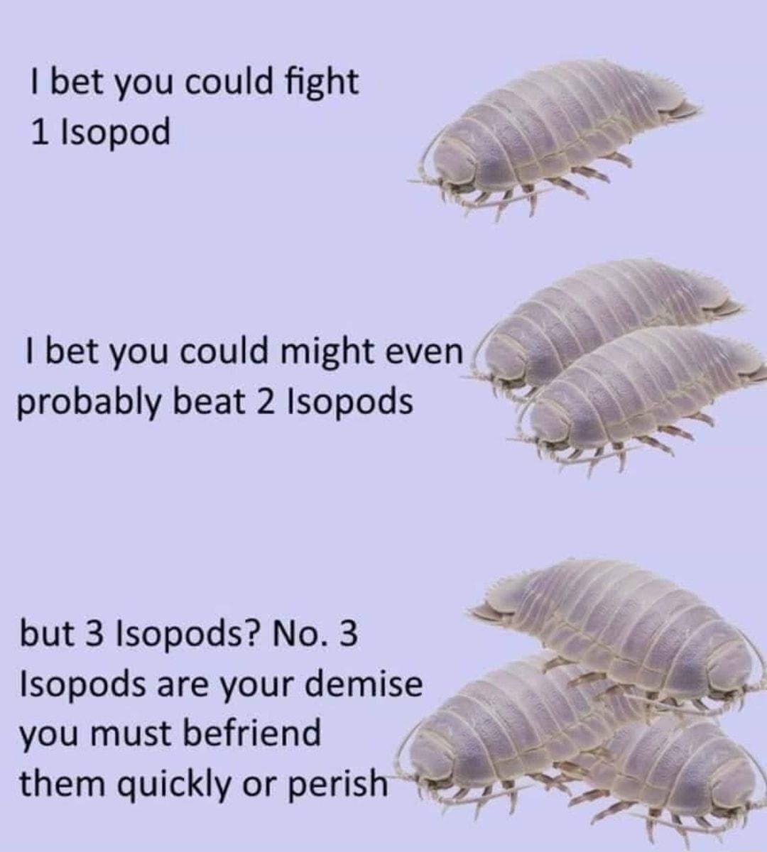 bet you could fight 1 Isopod but 3 Isopods No 3 Isopods are your demise R you must befriend them quickly or perish