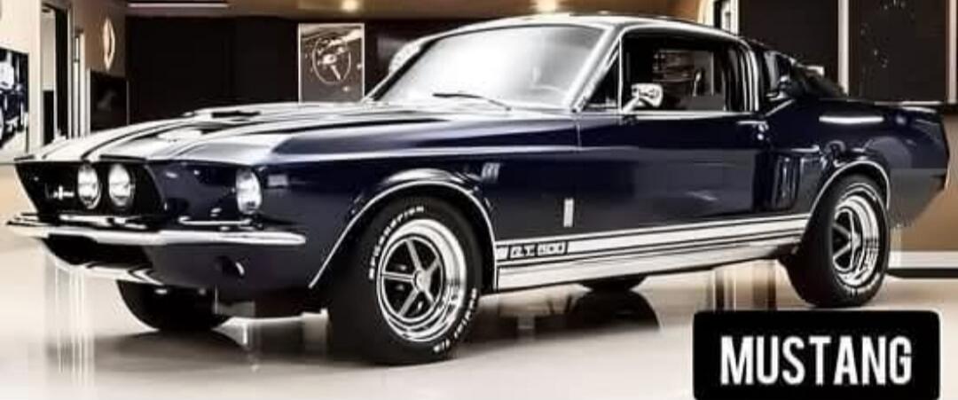MUSTANG