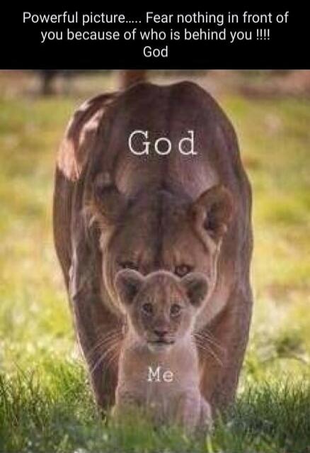 Powerful picture..... Fear nothing in front of you because of who is behind you !!!! God