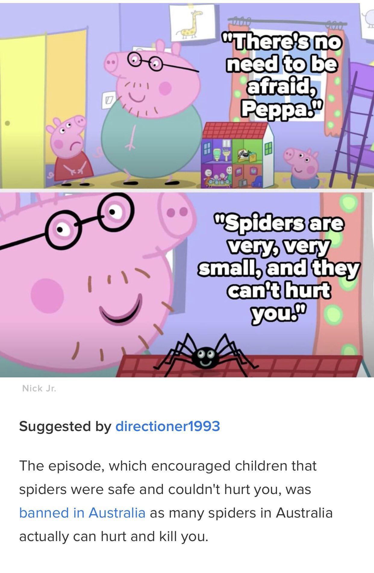 ErVVErya Suggested by directioner1993 The episode which encouraged children that spiders were safe and couldnt hurt you was banned in Australia as many spiders in Australia actually can hurt and kill you