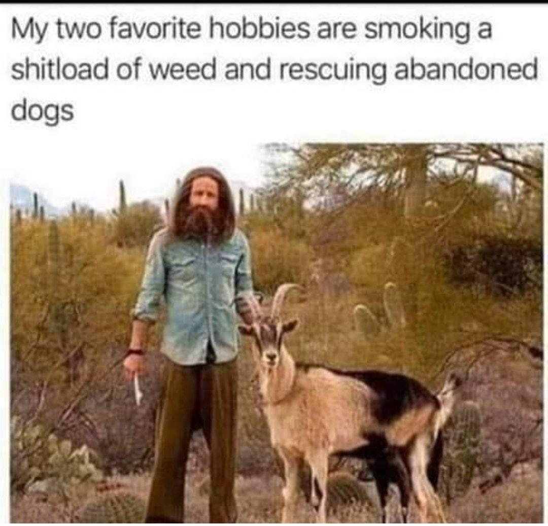 My two favorite hobbies are smoking a shitload of weed and rescuing abandoned