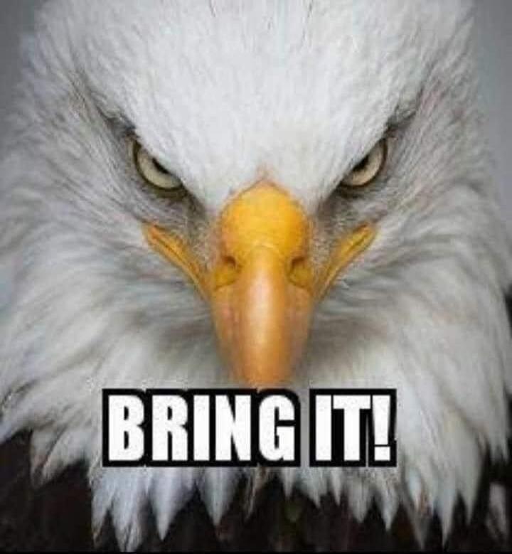 BRING IT!