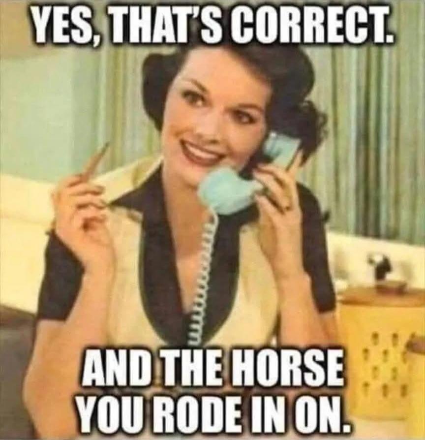 YES, THAT'S CORRECT. AND THE HORSE YOU RODE IN ON.