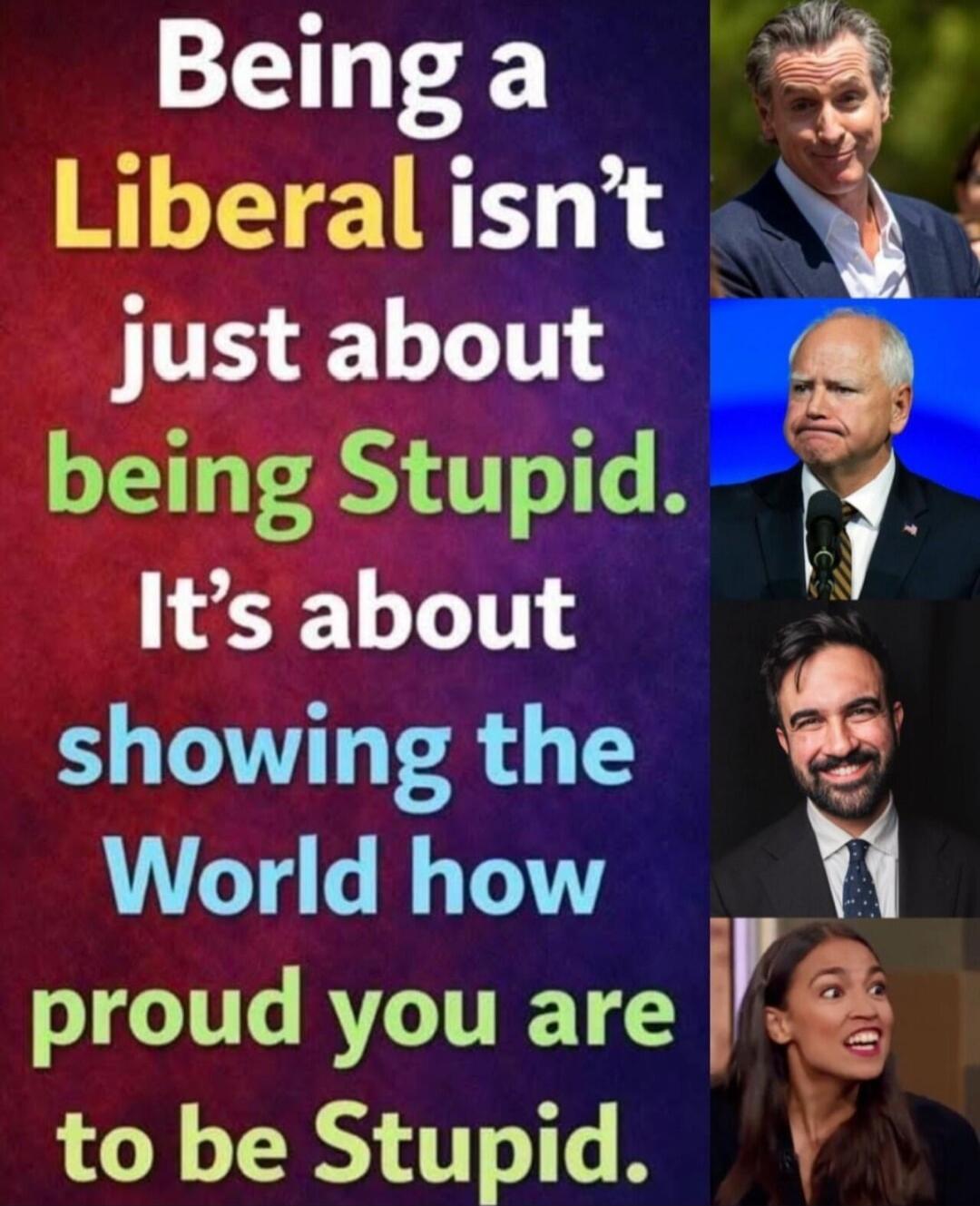 Being a Liberal isn’t just about being Stupid. It’s about showing the World how proud you are to be Stupid.
