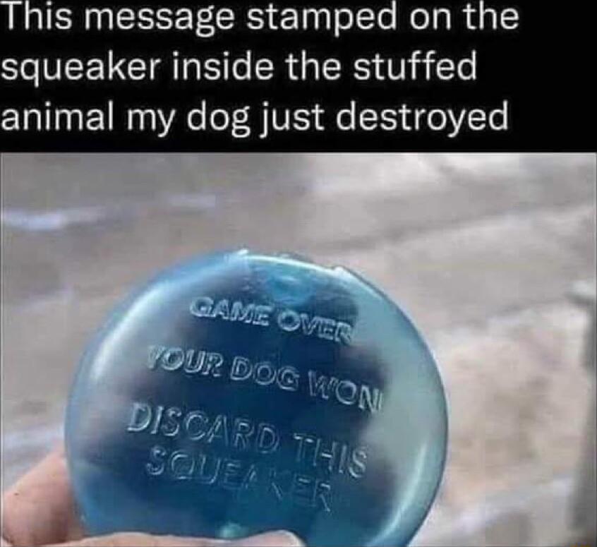 This message stamped on the squeaker inside the stuffed CTallng 1N 0 Ve o T VIS Qe SR 4ol VTe