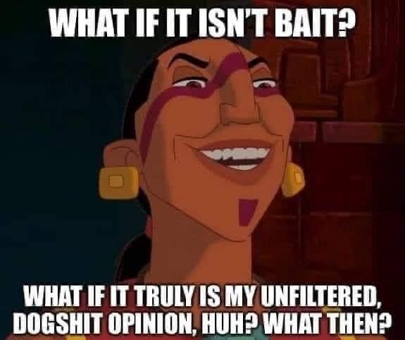 WHAT IF IT ISNT BAIT WHAT IF IT TRULY IS MY UNFILTERED IIDGSEII OPINION Illl WHAT IIIHI