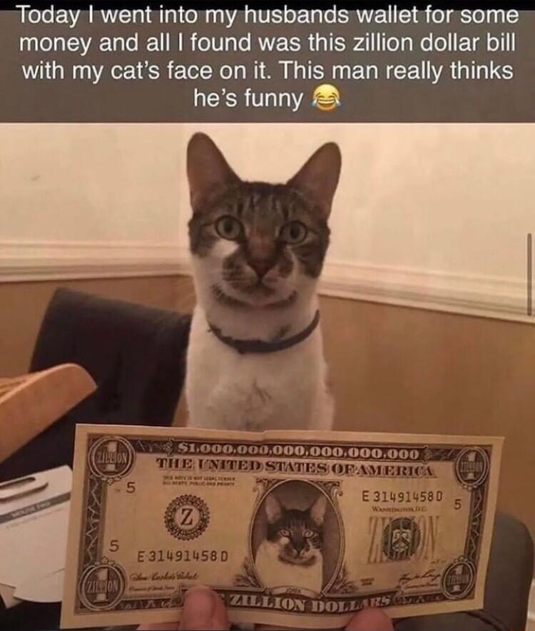 Today went into my husbands wallet for some money and all found was this Zillion dollar bill with my cats face on it This man really thinks hes funny