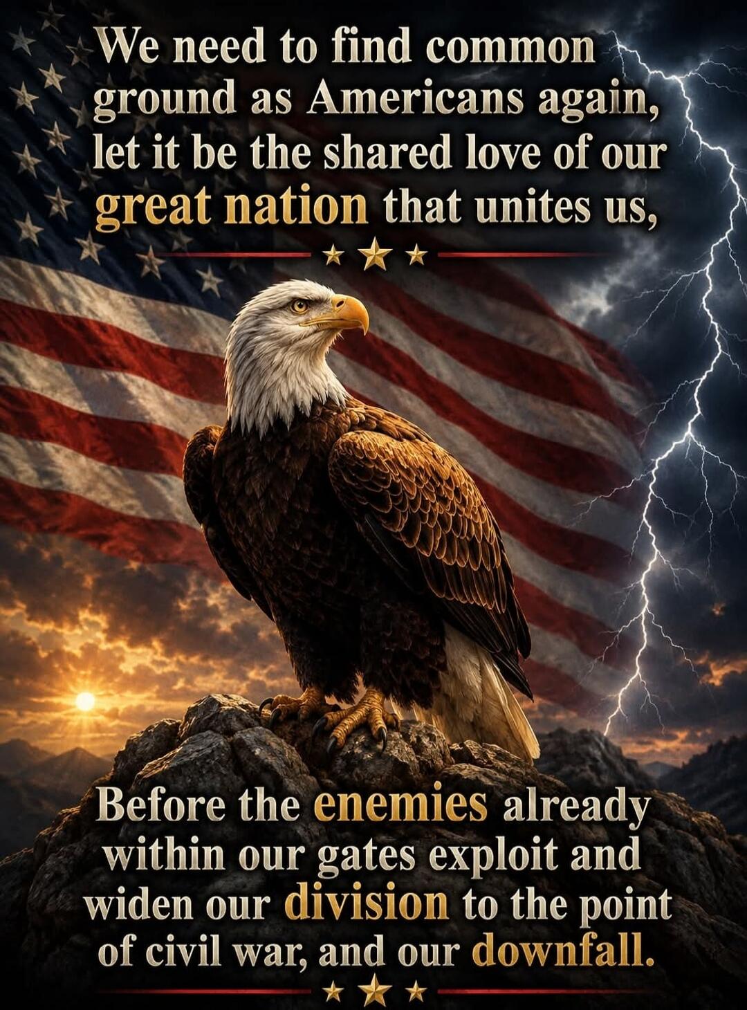 We need to find common ground as Americans again, let it be the shared love of our great nation that unites us, Before the enemies already within our gates exploit and widen our division to the point of civil war, and our downfall.
