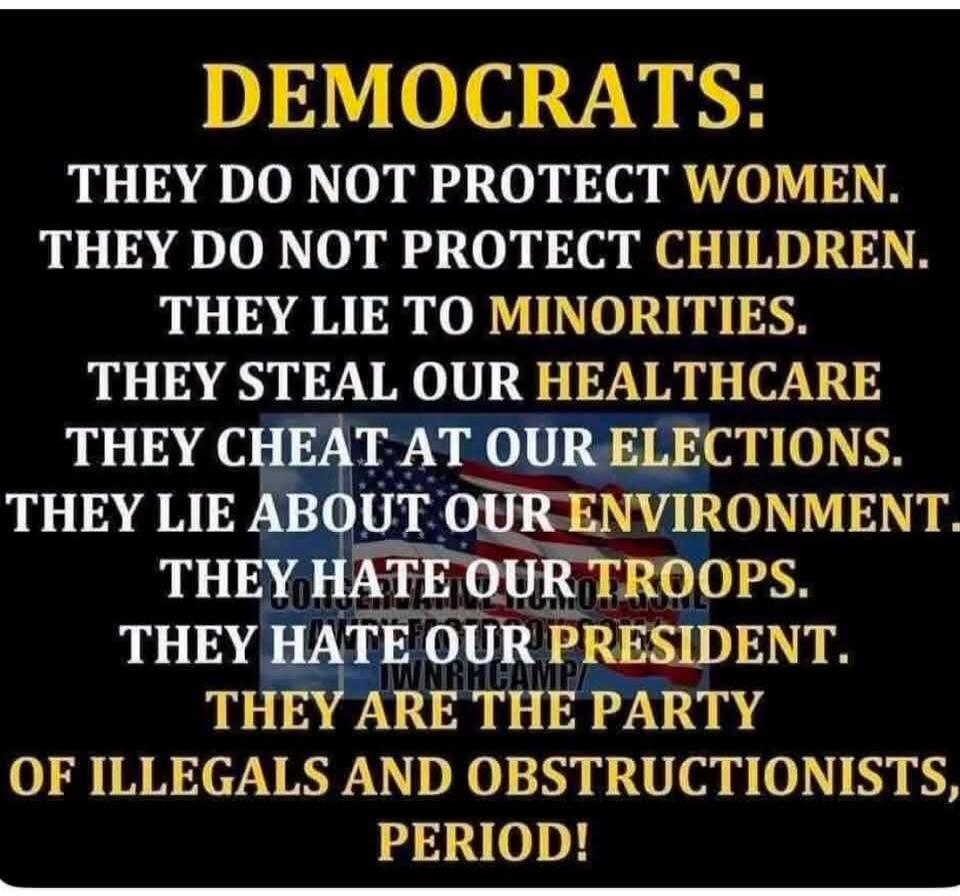 DEMOCRATS: THEY DO NOT PROTECT WOMEN. THEY DO NOT PROTECT CHILDREN. THEY LIE TO MINORITIES. THEY STEAL OUR HEALTHCARE. THEY CHEAT AT OUR ELECTIONS. THEY LIE ABOUT OUR ENVIRONMENT. THEY HATE OUR TROOPS. THEY HATE OUR PRESIDENT. THEY ARE THE PARTY OF ILLEGALS AND OBSTRUCTIONISTS, PERIOD!