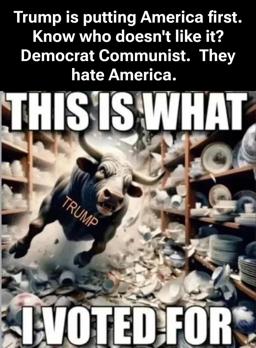 Trump is putting America first. Know who doesn't like it? Democrat Communist. They hate America. THIS IS WHAT I VOTED FOR