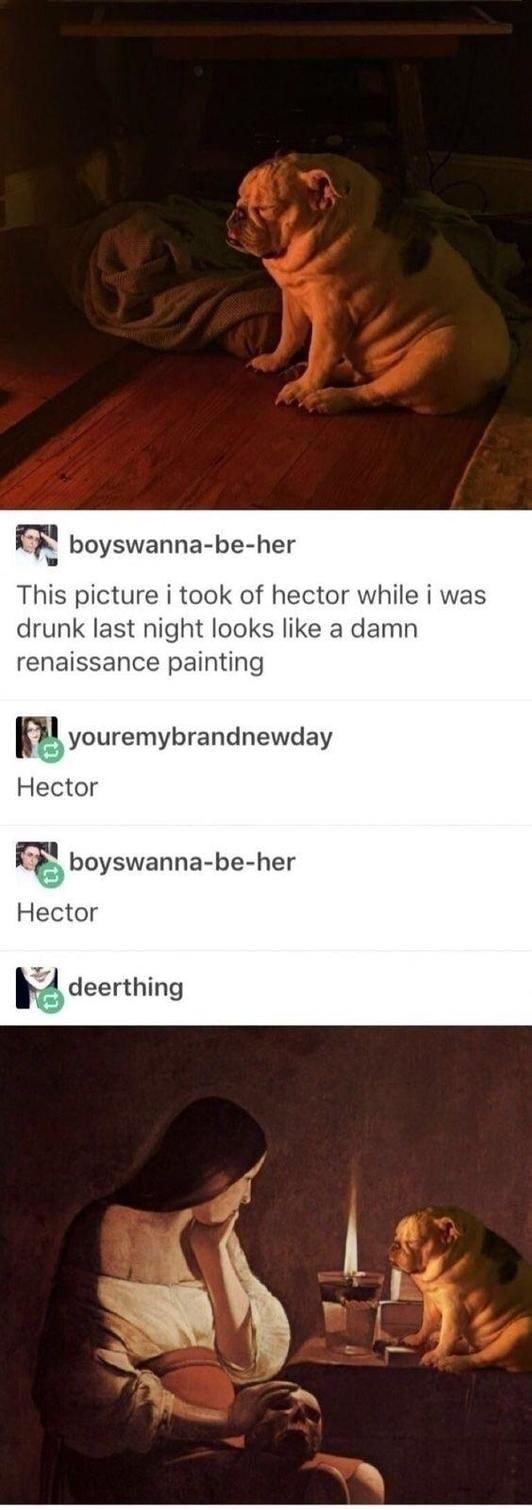 boyswanna be her This picture i took of hector while i was drunk last night looks like a damn renaissance painting p youremybrandnewday tor W boyswanna be her Hector 1 deerthing