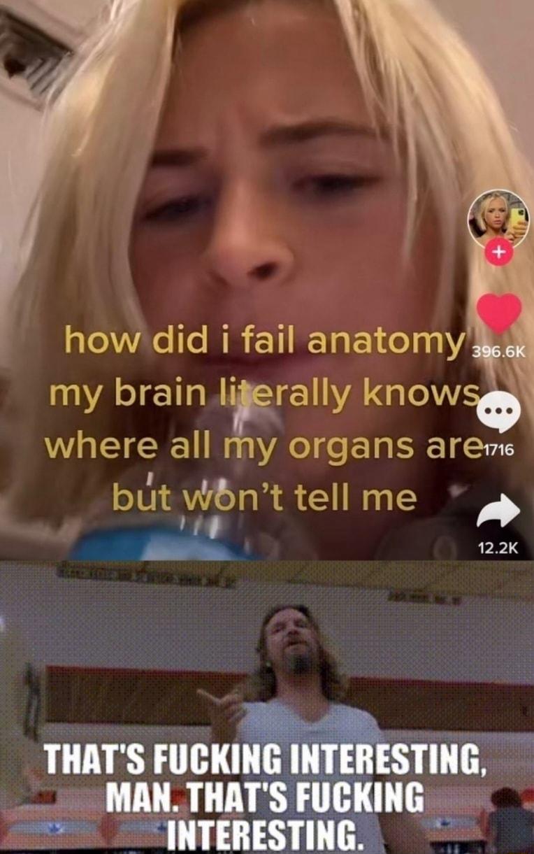 l howdid i fail anatomy my brain li raIIy know where all my organs arews but wbnt tell me id 122