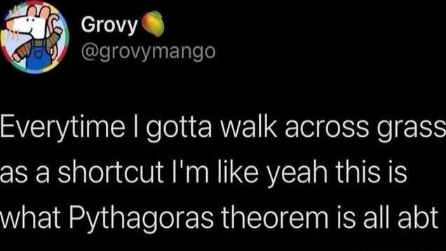 CNECA grovymango Everytime gotta walk across grass S NN CREE RGNS what Pythagoras theorem is all abt