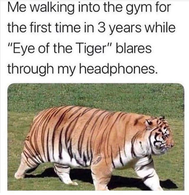 Me walking into the gym for the first time in 3 years while Eye of the Tiger blares through my headphones