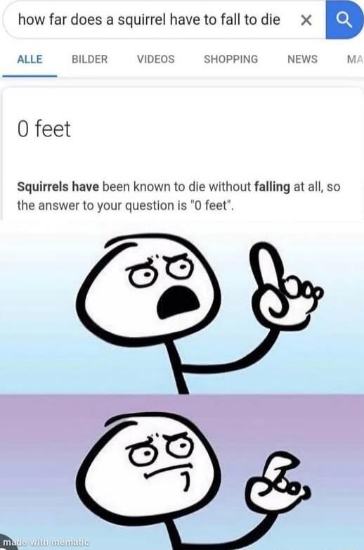 how far does a squirrel have to fall to die
0 feet
Squirrels have been known to die without falling at all, so the answer to your question is '0 feet'.