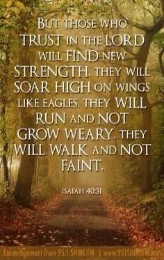 But those who trust in the Lord will find new strength. They will soar high on wings like eagles. They will run and not grow weary. They will walk and not faint. ISAIAH 40:31