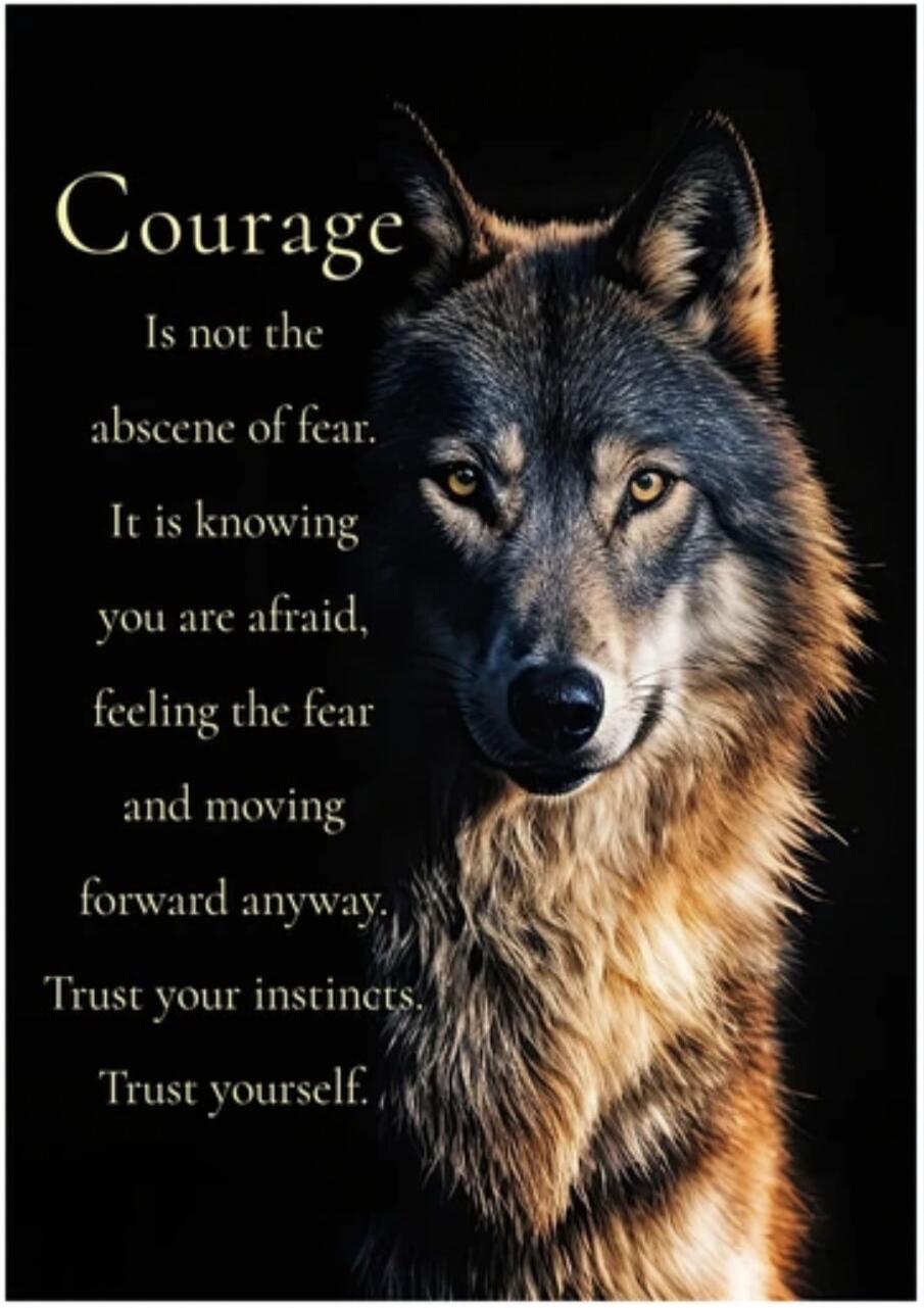 Courage Is not the abscence of fear. It is knowing you are afraid, feeling the fear and moving forward anyway. Trust your instincts. Trust yourself.