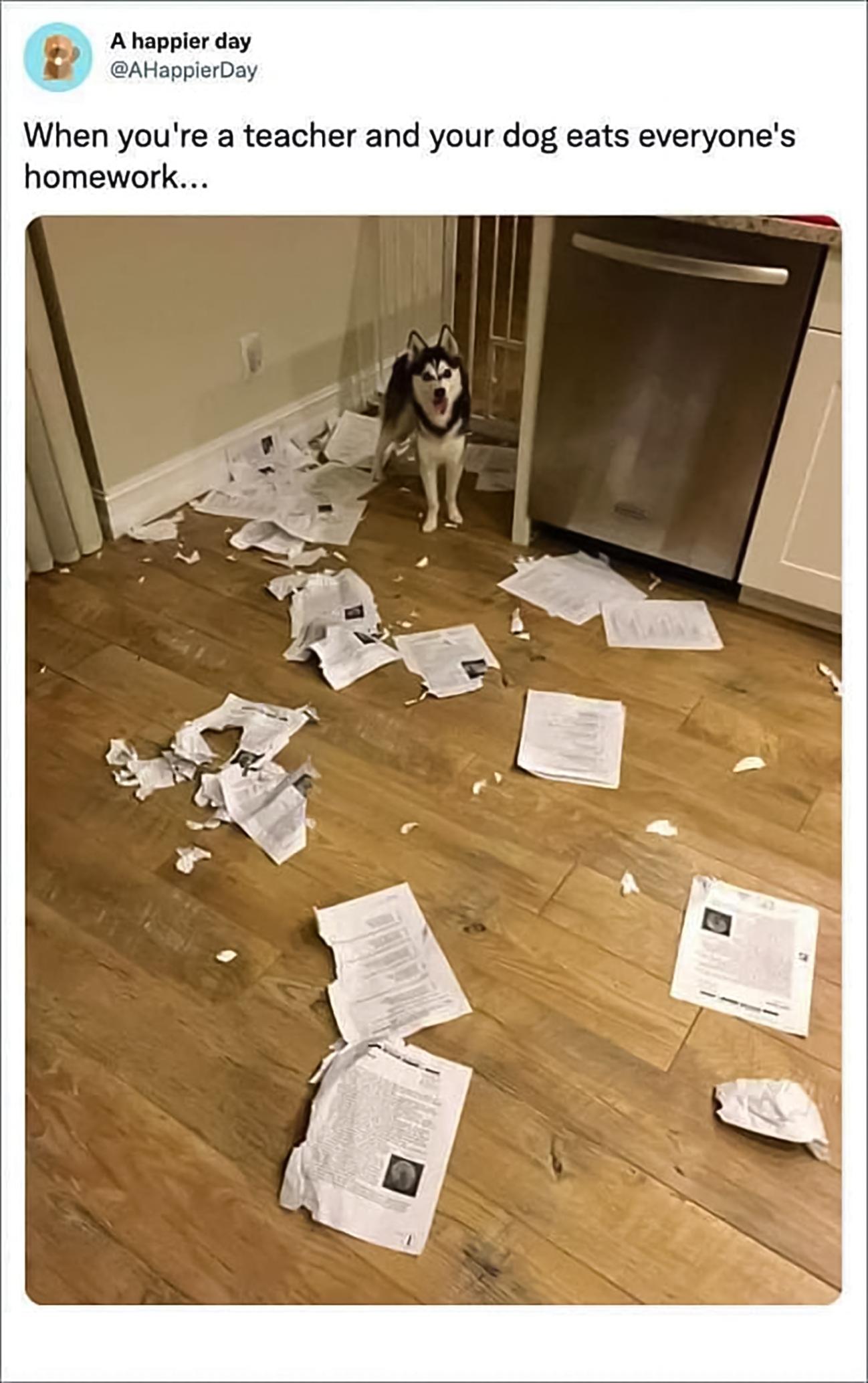 Ahappior day AHappierDay When youre a teacher and your dog eats everyones homework