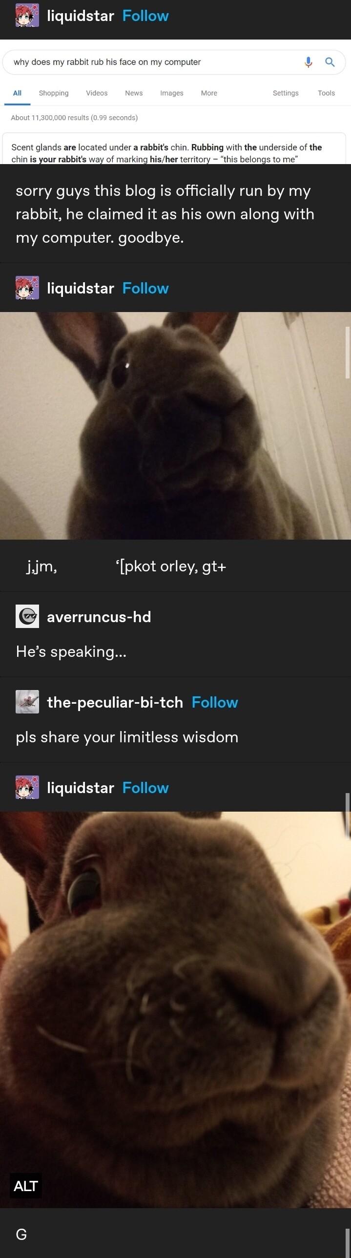 liquidstar Follow rabbits chin Rubbing g hisher teritory sorry guys this blog is officially run by my rabbit he claimed it as his own along with my computer goodbye u liquidstar Follow Jdm pkot orley gt EVE LIRS Hes speaking H the peculiar bi tch Follow ol ETERVC IV g T EEERW e 1 M liquidstar Follow ALT