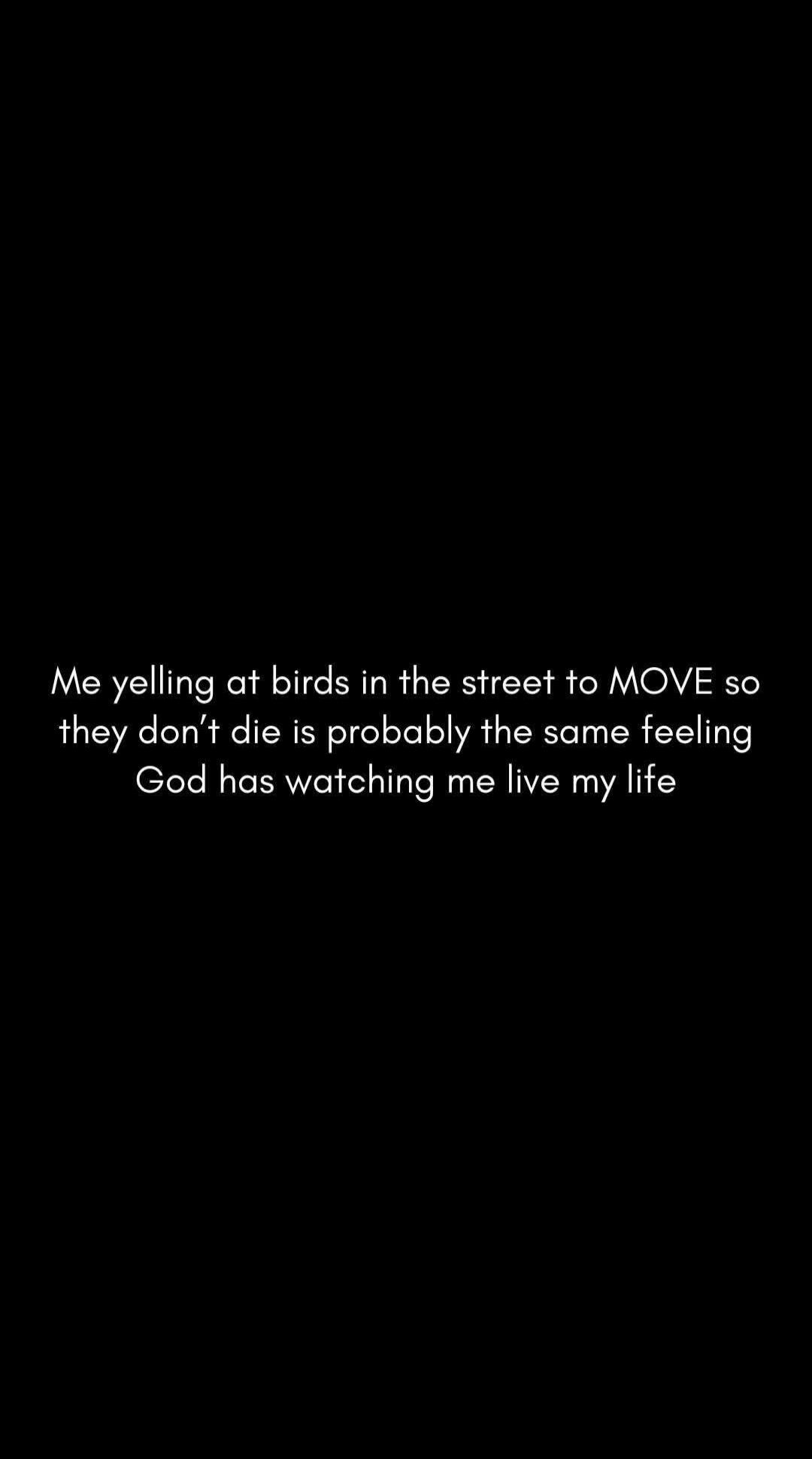 Me yelling at birds in the street to MOVE so they don't die is probably the same feeling God has watching me live my life