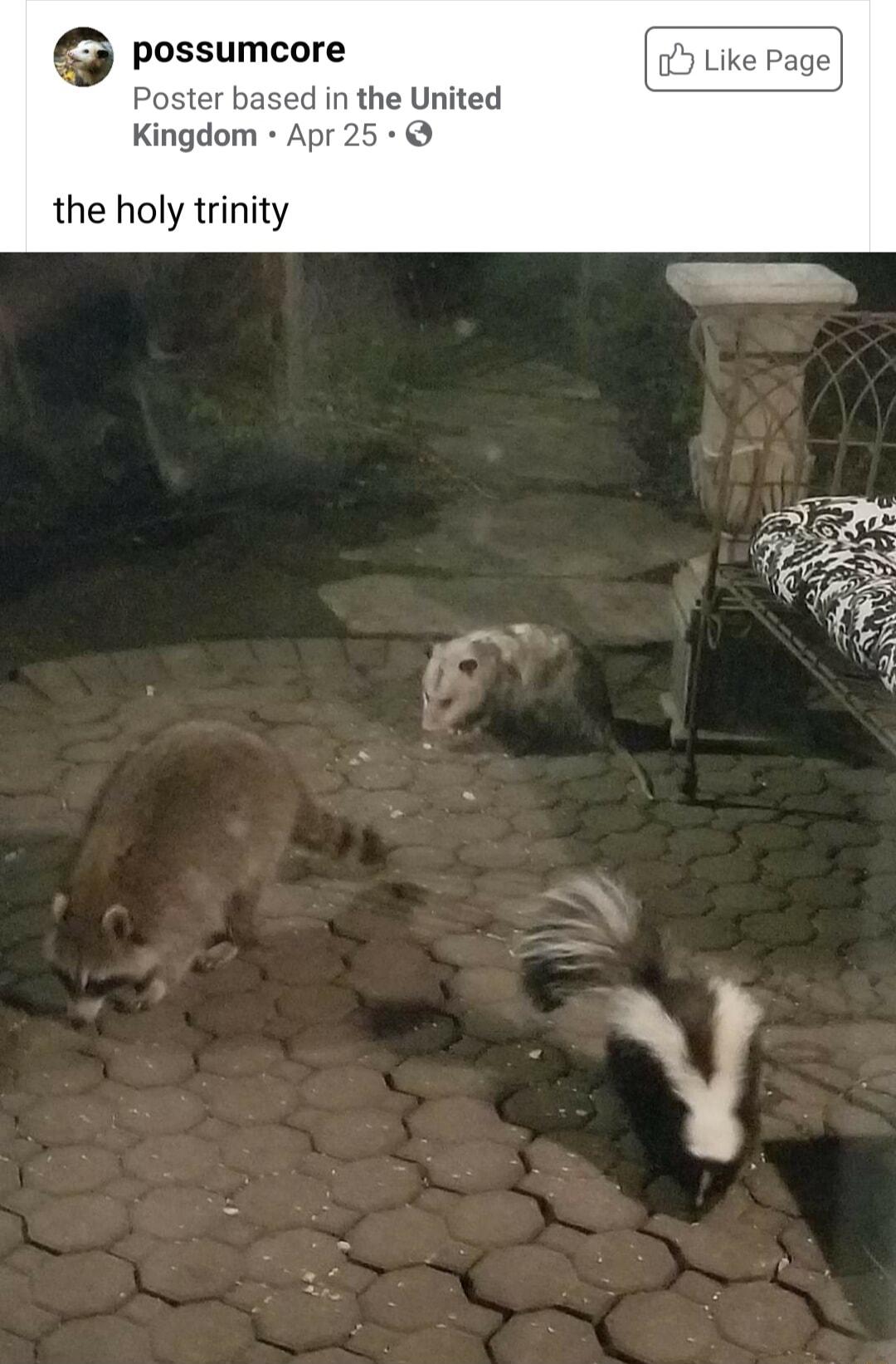 g possumcore ter based in the United Kingdom Apr 25 the holy trinity
