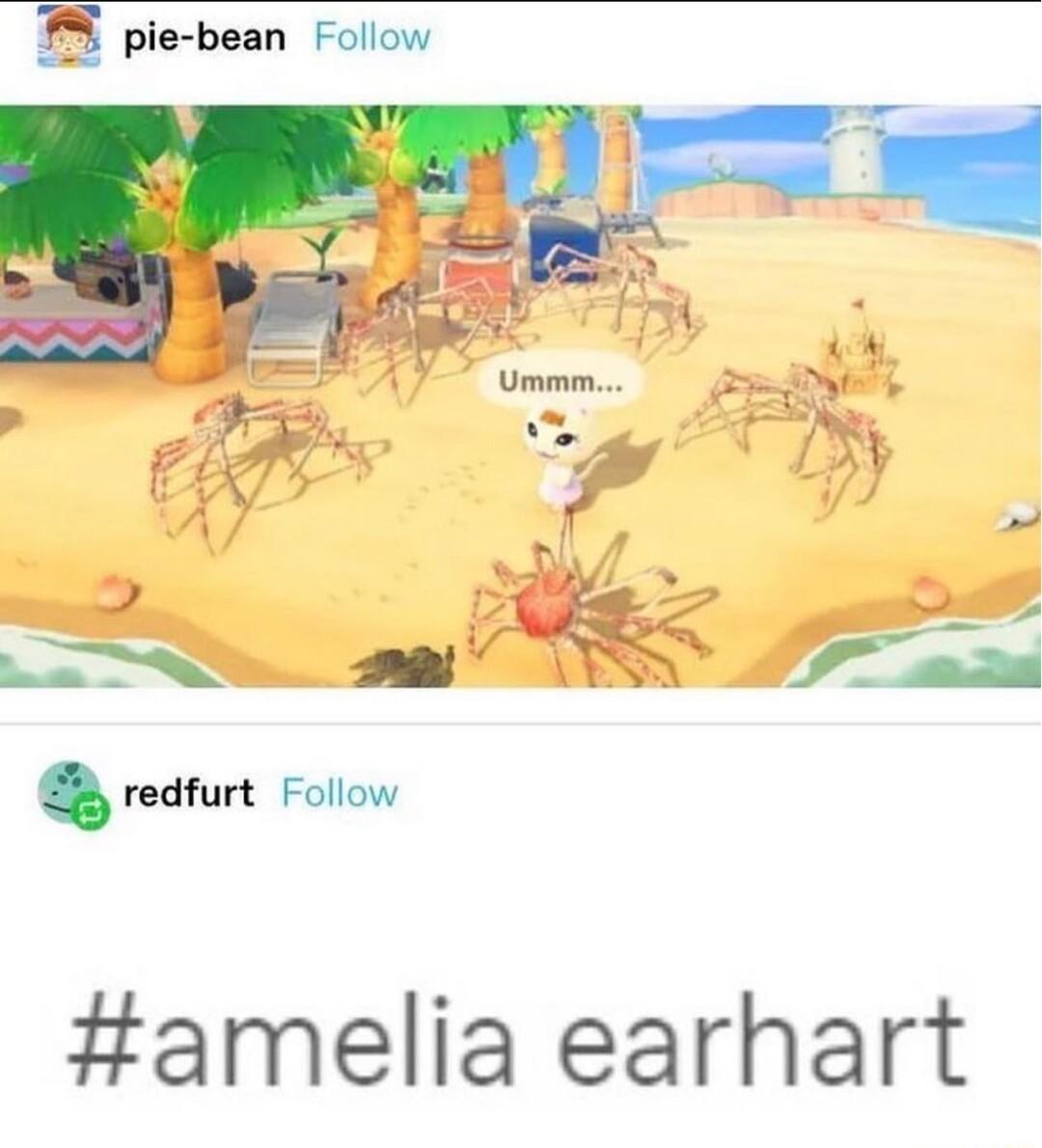 5 pie bean Follow e TS aa redfurt Follow amelia earhart