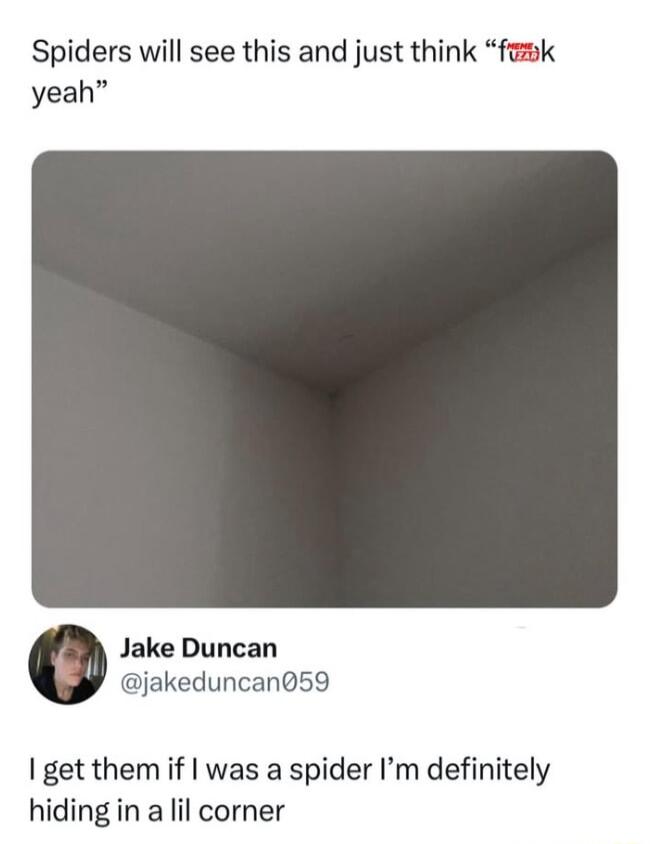 Spiders will see this and just think femk yeah Jake Duncan jakeduncan59 get them if was a spider Im definitely hiding in a lil corner