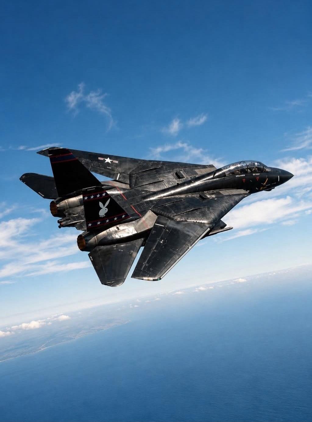 A black fighter jet, possibly a Grumman F-14 Tomcat, with a Playboy bunny logo and stars on its tail, and US national insignia on its wing, flying over the ocean. Text visible near the cockpit includes 'GRAHAM' and 'STORM'.
